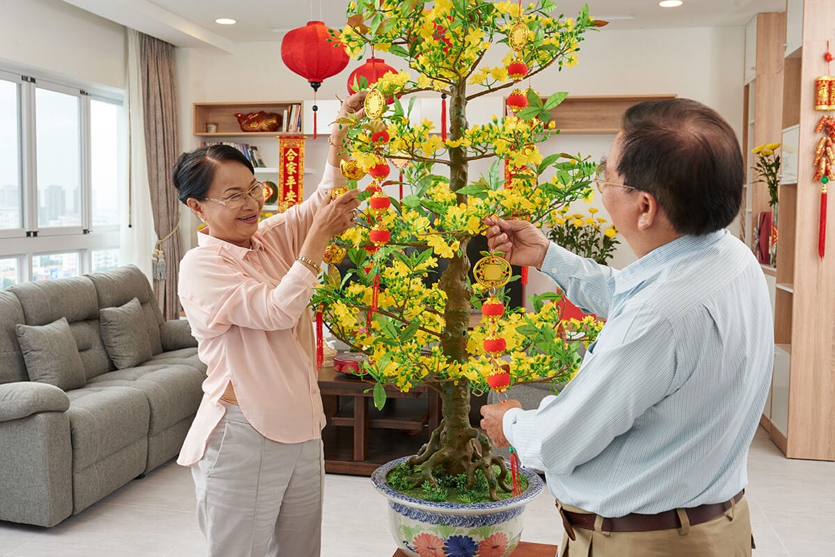 Chinese New Year Home Decoration